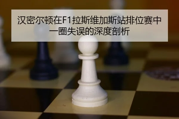 han-mi-er-dun-zai-la-si-wei-jia-si-zhan-pai-wei-sai-zhong-yi-quan-shi-wu-de-shen-du-pou-xi-2-442.jpg